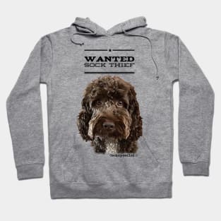 Cockapoo / Doodle Dog Sock Thief Hoodie